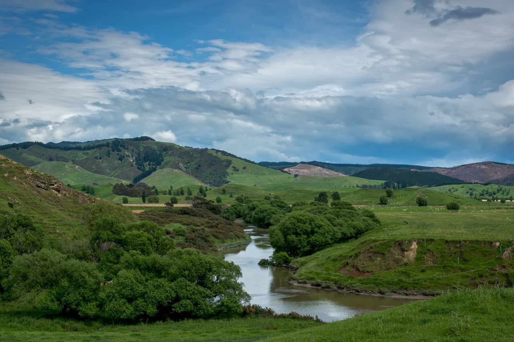 Meandering River