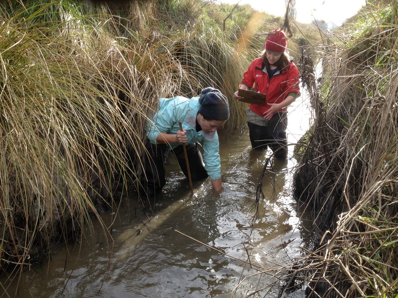 Bioheritage Researchers Catherine Febria And Elizabeth Graham Sample A Degraded Waterway In Lowland Canterbury