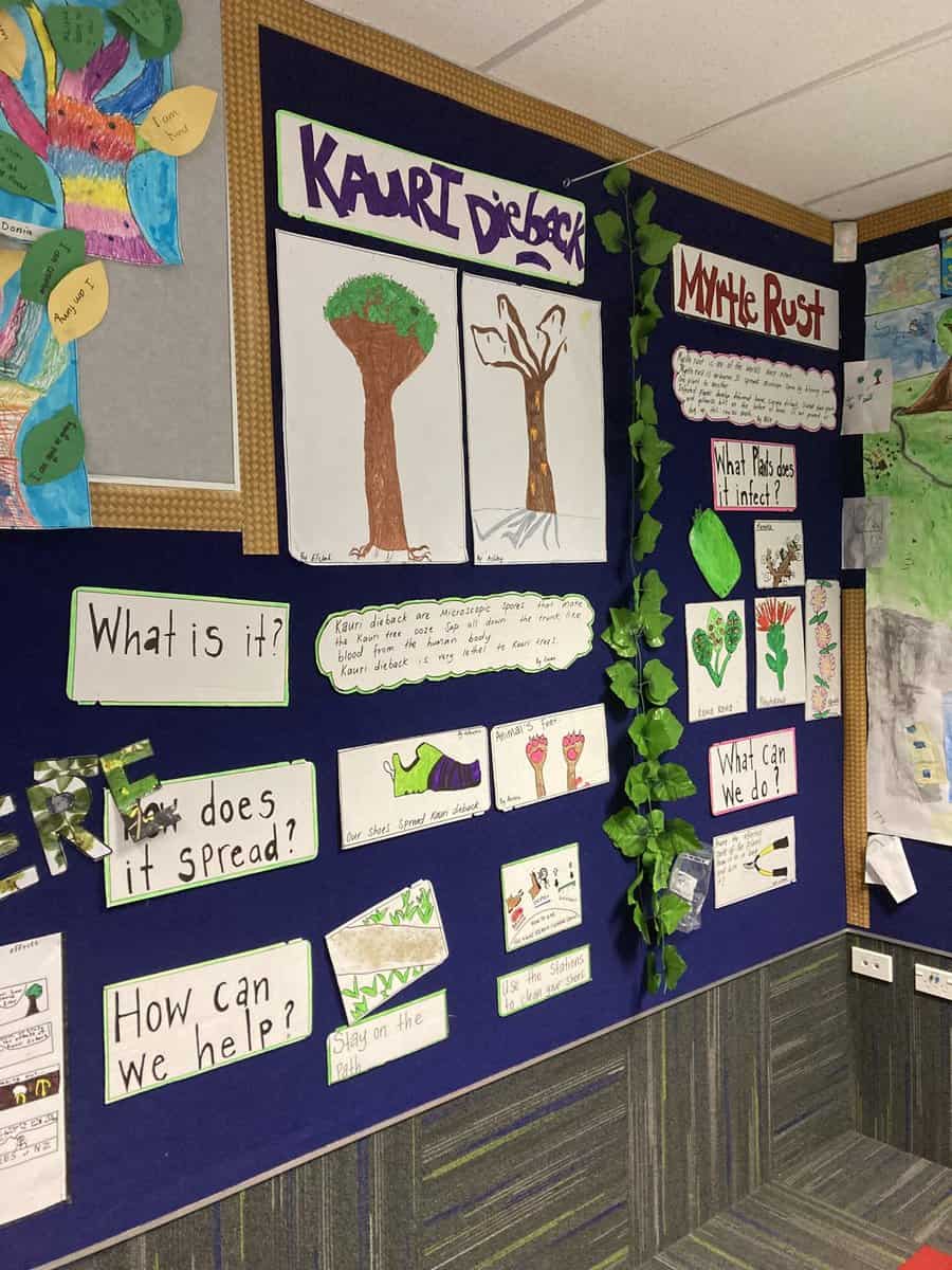 How Did Konini Primary Celebrate Matariki? - Biological Heritage NZ