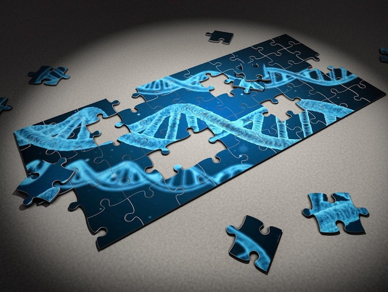 Genome puzzle