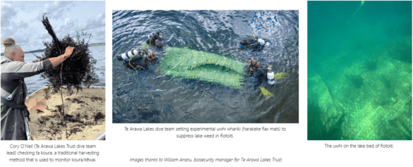 3x Images For Web Page W Captions