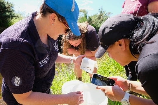 Juvenile Kanakana - FWFOT