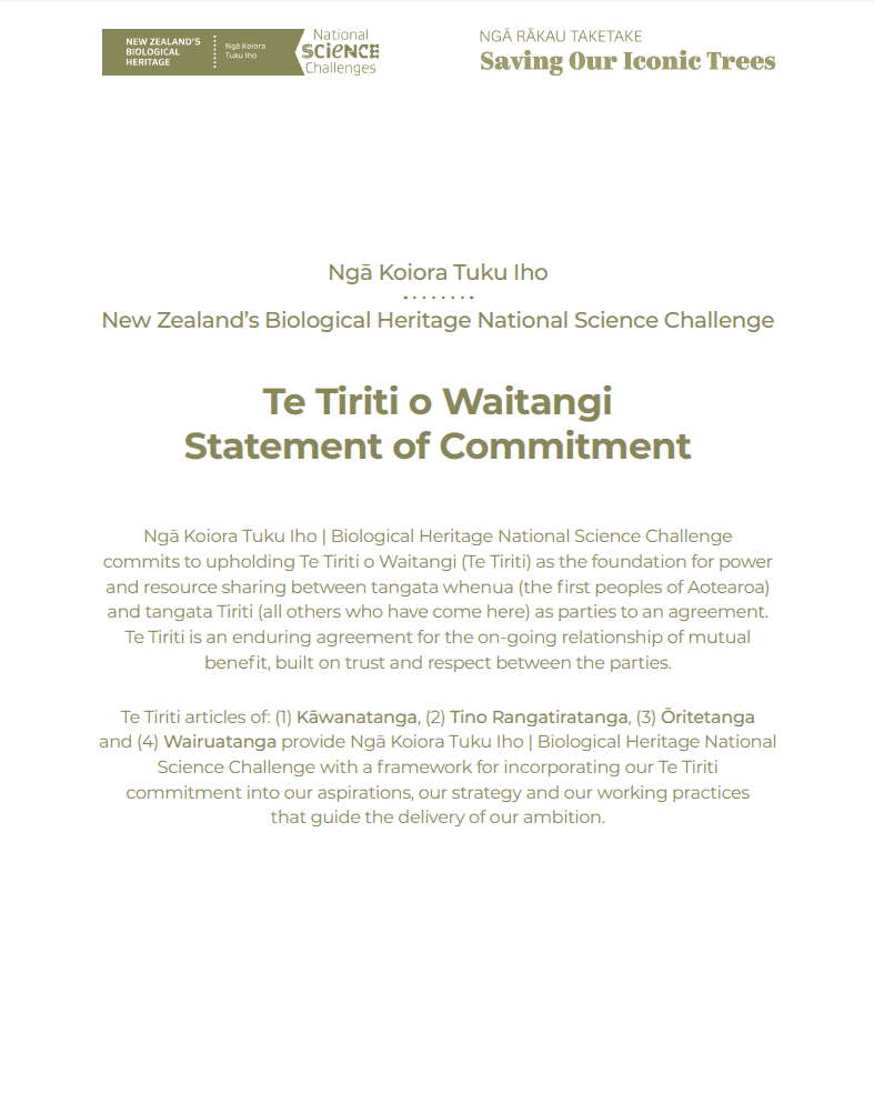 Te Tiriti Statement