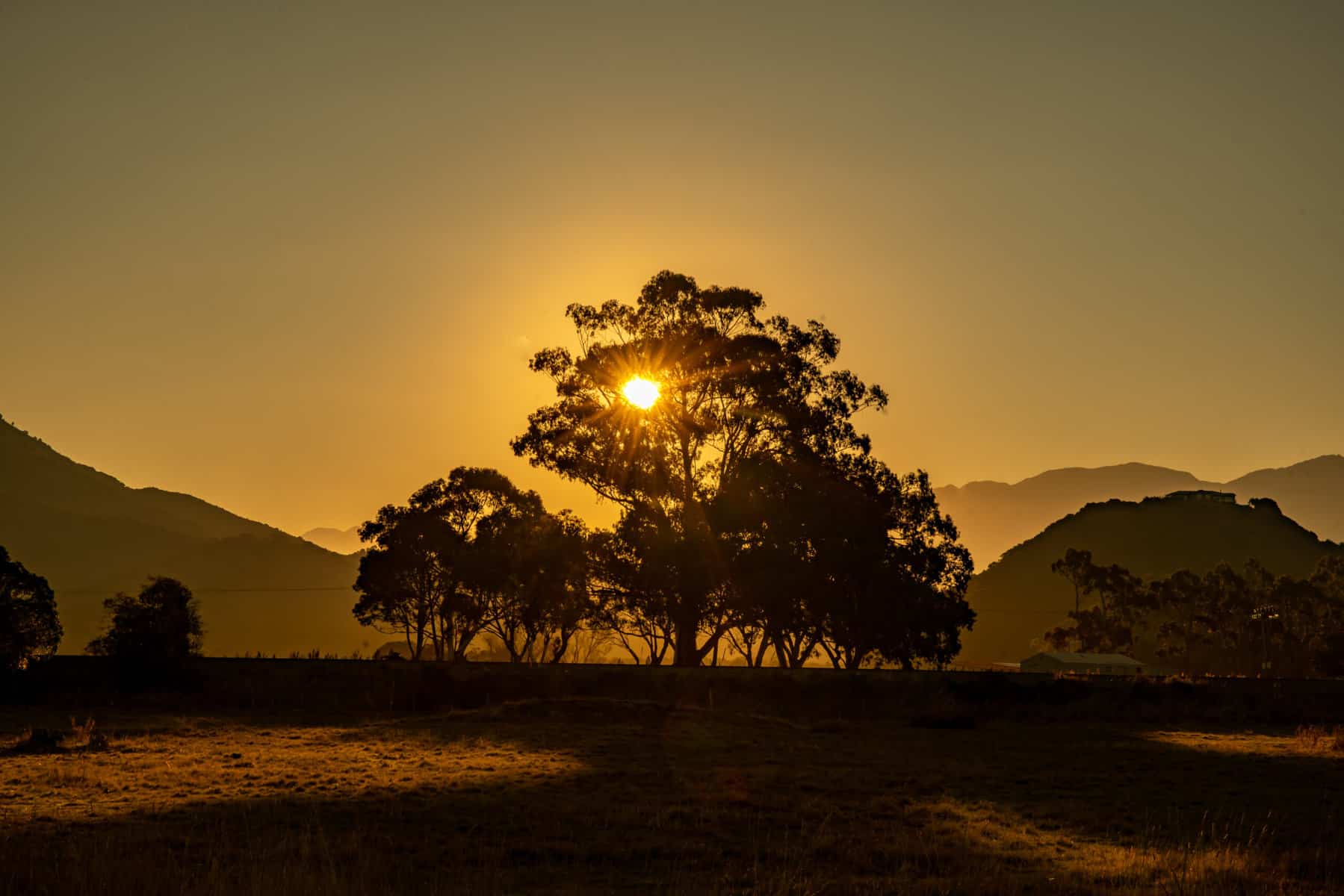 Inland From Kaikoura