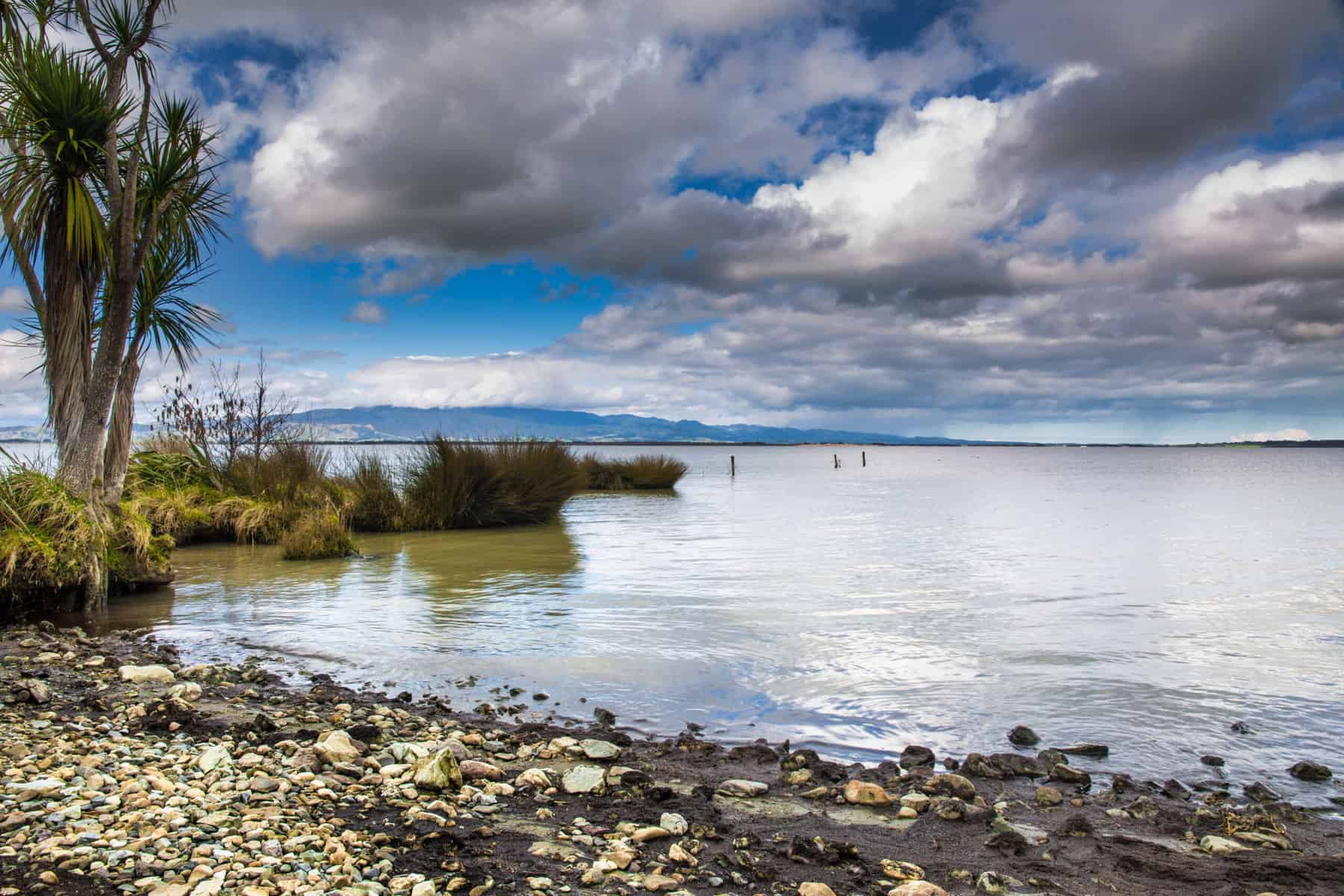 Lake Wairarapa Shoreline Excio 1