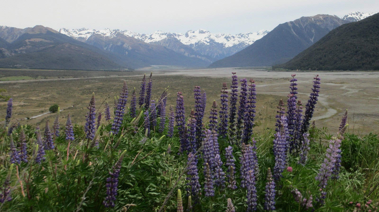 Arthur's Pass Long