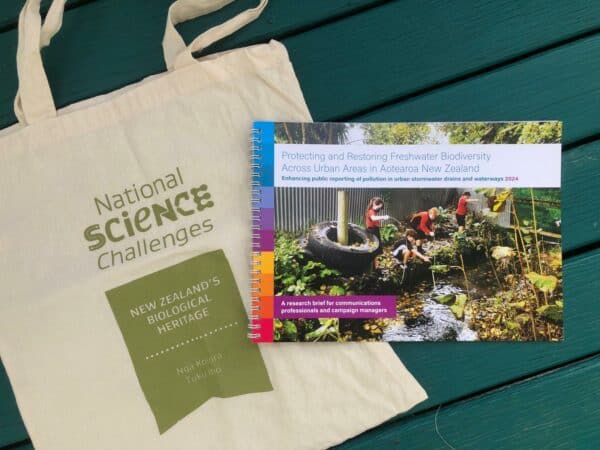 Market Research Image Home