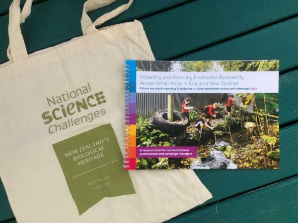 Market Research Image Home